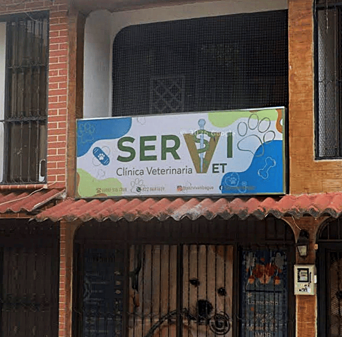 Vinilo translúcido para caja de luz